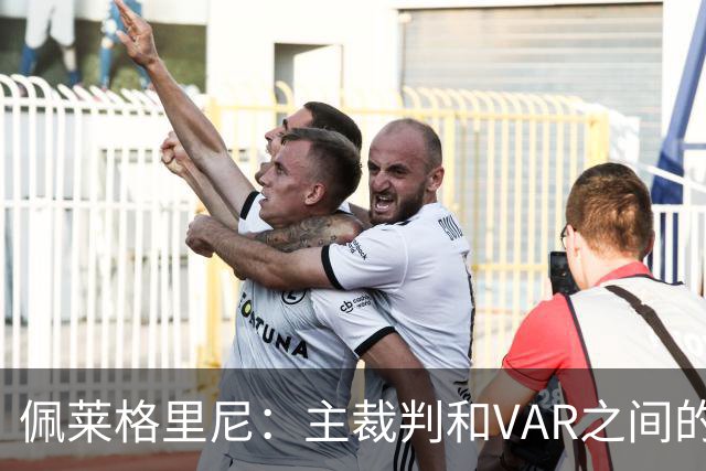 佩莱格里尼：主裁判和VAR之间的协作衔接，应该是需要改进的地方
