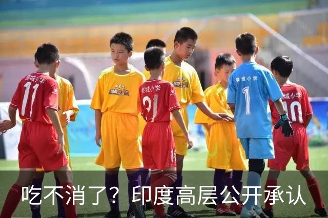 吃不消了？印度高层公开承认