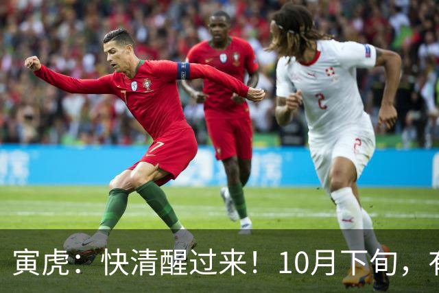 寅虎：快清醒过来！10月下旬，有人即将到访，并非为了讨债