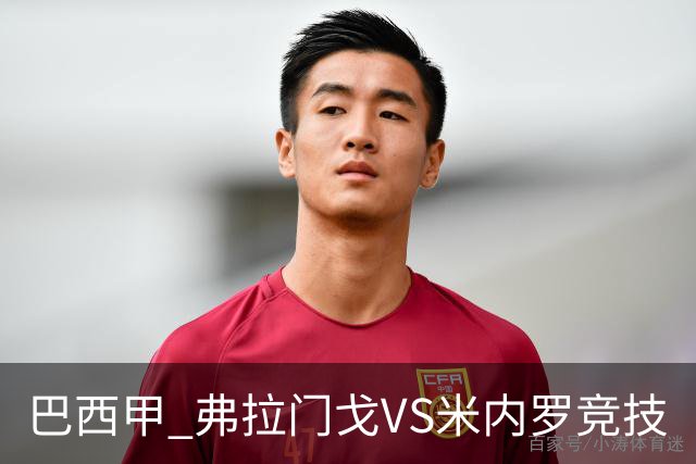 巴西甲 弗拉门戈VS米内罗竞技