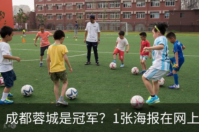 成都蓉城是冠军？1张海报在网上热传：5支中超球队共同托起大连英博冠军梦